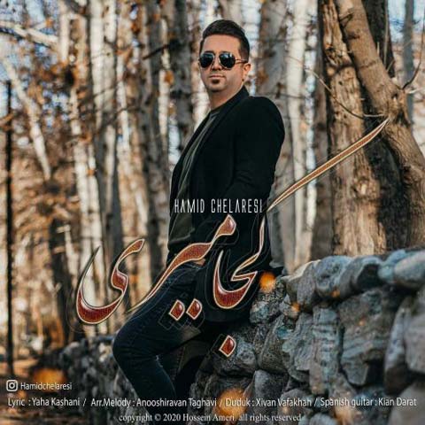 دانلود آهنگ حمید چلارسی کجا میری